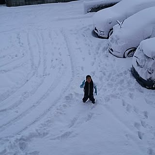 いよいよ来週末内覧会/三重県北部大雪のインテリア実例 - 2017-01-15 10:24:52