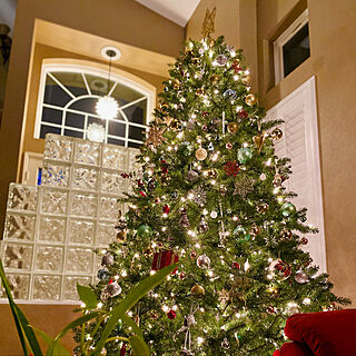Christmas/christmas tree/AMERICA/christmas2020/リビング...などのインテリア実例 - 2020-12-26 15:50:53