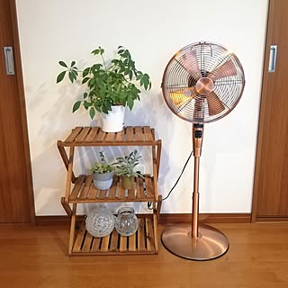 棚/夏家電/アンティーク扇風機♪/植物のある暮らし/いやしの空間...などのインテリア実例 - 2023-06-25 07:48:27