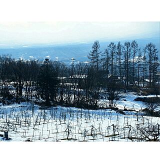 ベッド周り/雪景色/窓からの風景/雪/田舎暮らしのインテリア実例 - 2017-01-13 12:55:18