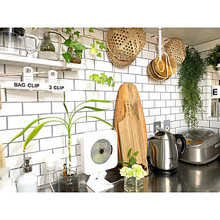 植物/収納/DIY/見せる収納/中古住宅...などのインテリア実例 - 2019-09-04 02:24:30