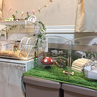 ハムスターケージのおしゃれなアレンジ 飾り方のインテリア実例 Roomclip ルームクリップ