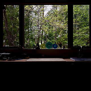 窓から見える景色/新緑の季節/Iittala/イッタラ/アテネの朝...などのインテリア実例 - 2022-05-15 18:00:33