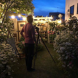 インスタ ガーデナー大ちゃん/インスタ gardener_yushi/ガーデンガーデン/群馬県/ガーデン...などのインテリア実例 - 2019-10-11 15:08:29