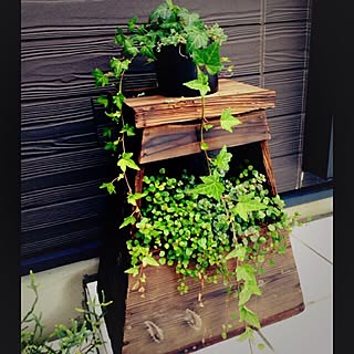 玄関 入り口 踏み台diyのインテリア 手作りの実例 Roomclip ルームクリップ