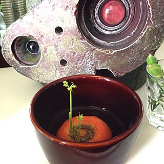 棚/植物/ジブリのインテリア実例 - 2013-04-22 10:03:05