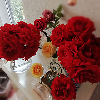 棚/薔薇/いつもいいね！ありがとうございます♪/自然が大好き/薔薇が次々咲いてくれてますのインテリア実例 - 2019-06-03 09:44:20