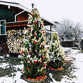 薪棚/雪積もってます/クリスマスツリー/ローファーの家/いいね&フォローありがとうございます☆...などのインテリア実例 - 2020-12-15 12:52:16