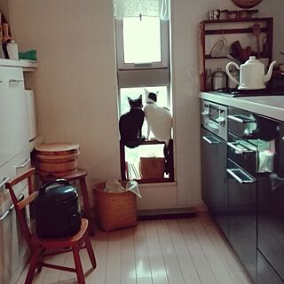 キッチン/猫好き♥/古家具のインテリア実例 - 2016-10-31 12:17:14