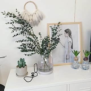 ユーカリ ヒヤシンス水栽培のおしゃれなアレンジ 飾り方のインテリア実例 Roomclip ルームクリップ