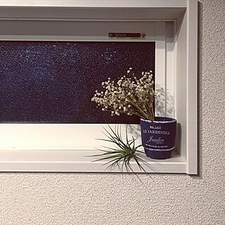 窓/ドライフラワー/エアプランツ/植物/リビングのインテリア実例 - 2016-05-30 22:10:08