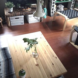 リビング/一人暮らし/DIY/葉っぱ/IKEA...などのインテリア実例 - 2013-06-15 07:49:22