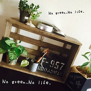 棚/NO GREEN NO LIFE/手作り/男前/観葉植物...などのインテリア実例 - 2015-05-25 14:35:52