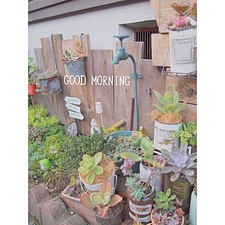 玄関/入り口/ガーデニング/多肉植物/NO GREEN NO LIFE/板壁DIY...などのインテリア実例 - 2015-10-22 07:57:47