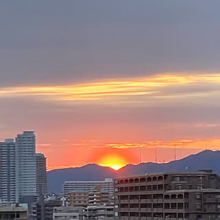 夕陽を臨んで/季節の移り変わり/定位置からの眺め♡/観葉植物のある暮らし/わんこのいる暮らし...などのインテリア実例 - 2023-03-01 18:13:40