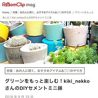 机/中古住宅/ZOO会♡/関西好きやねん会/NO GREEN NO LIFE...などのインテリア実例 - 2016-09-15 13:56:22