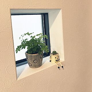 壁/天井/フィックス窓/植物のある暮らし/シンプルインテリア/観葉植物　のインテリア実例 - 2017-03-19 17:38:09