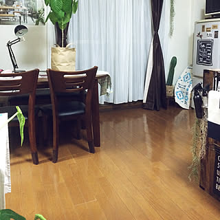 部屋全体/カラーボックスでキッチンカウンター/山善/サボテンクラブ☺︎/モンステラ...などのインテリア実例 - 2017-09-12 18:46:45