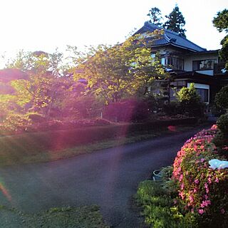 外観/純和風な庭のインテリア実例 - 2016-06-10 19:29:48