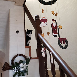 クリスマス/くうちゃん/猫/ねこのいる風景/階段...などのインテリア実例 - 2022-11-15 10:47:19