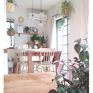 植物のある暮らし/狭い部屋でもインテリアを楽しむ/ガーデニング/Boho Style/ナチュラルインテリア...などのインテリア実例 - 2021-04-09 14:42:40