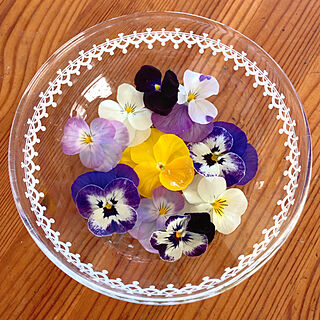 食卓の花/ガラス/ダイニングテーブル/ビオラ/花を飾る...などのインテリア実例 - 2020-12-07 22:39:12