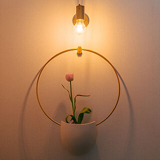 真鍮/ブラケット照明/花のある暮らし/チューリップ/花瓶...などのインテリア実例 - 2022-03-18 11:45:00
