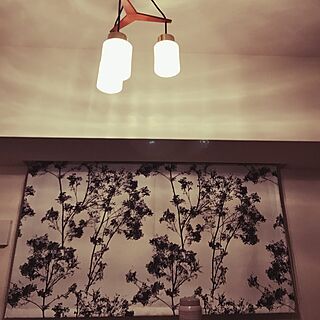 壁/天井/ブラインドカーテン/照明のインテリア実例 - 2017-07-04 20:46:25