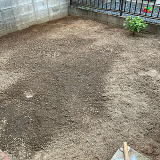 草抜き/ふるいにかけて/庭を、整理整頓/庭を自力で改造/庭をＤＩＹ...などのインテリア実例 - 2020-08-28 22:40:19