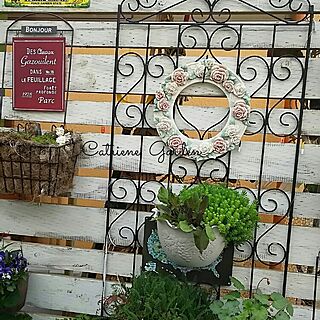 玄関/入り口/プラントハンガー/small garden/観葉植物/植物のある部屋...などのインテリア実例 - 2016-04-24 13:28:05