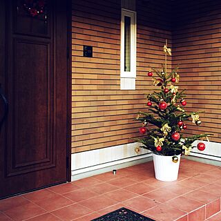 壁/天井/クリスマス/IKEA/クリスマスツリー/モミの木...などのインテリア実例 - 2014-11-23 02:16:34