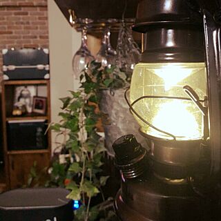 棚/吊り棚DIY/ワイングラスハンガー/ランタン型LED電球/フェイクグリーンのインテリア実例 - 2017-01-31 00:04:04
