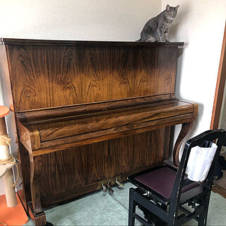 ピアノと猫/リビングのインテリア実例 - 2020-09-18 16:17:47