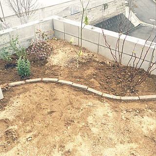 玄関/入り口/庭づくり/ナチュラル/観葉植物/植物...などのインテリア実例 - 2018-03-07 15:44:32