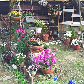 棚/脚立/4月/ガーデン/お庭...などのインテリア実例 - 2017-04-04 19:59:04