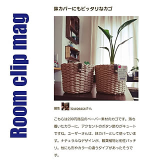 壁/天井/コメントお気遣いなく♡/Room Clip mag掲載/Daiso/DAISOのカゴ...などのインテリア実例 - 2021-07-13 08:19:33