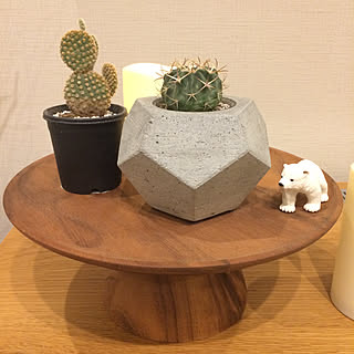 ちくちく/トゲトゲ/コンクリート鉢/観葉植物のある暮らし/観葉植物...などのインテリア実例 - 2020-03-23 23:07:18