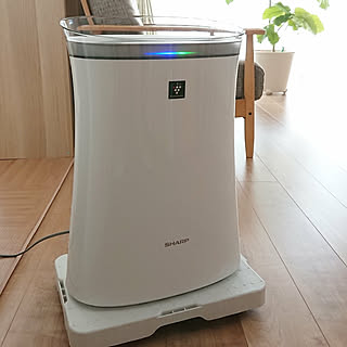 SHARP 空気清浄機 FU-J50-W 花粉 花粉症の季節オススメのSHARP（シャープ）