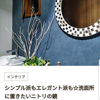 バス/トイレ/ウォールミラー/トイレの壁/トイレインテリア/グリーンのある暮らし...などのインテリア実例 - 2019-03-12 21:17:09