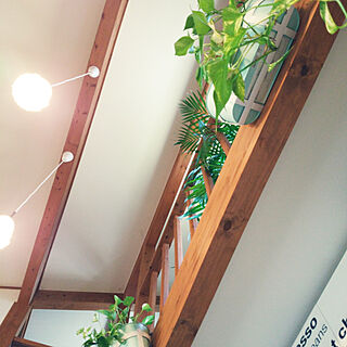 壁/天井/一番好きな場所/観葉植物/二階廊下/IKEA 雑貨...などのインテリア実例 - 2020-04-14 08:10:15