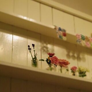 壁/天井/DIY棚/DIY/庭のお花/DIY板壁...などのインテリア実例 - 2013-05-22 21:30:38