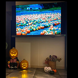 かぼちゃ畑/ハロウィン/Jack-o'-Lantern/フェイクフラワー/リビング...などのインテリア実例 - 2021-09-09 22:58:54
