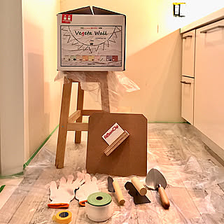 ベジタウォール/壁紙屋本舗/漆喰壁DIY/DIY/漆喰壁...などのインテリア実例 - 2019-11-30 14:17:30