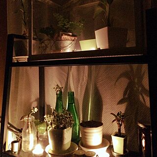棚/IKEA/夜/4畳/観葉植物...などのインテリア実例 - 2016-01-19 19:13:39