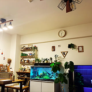 観葉植物/カフェ風/部屋全体のインテリア実例 - 2020-12-06 00:32:33