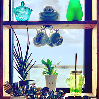 キッチン/植物のある暮らし/植物と暮らす/観葉植物/陽当たりの良い窓際...などのインテリア実例 - 2021-06-16 12:27:06