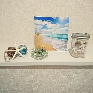 バス/トイレ/子供と暮らす/観葉植物/しまむら/西海岸インテリアに憧れ中のインテリア実例 - 2016-02-22 20:18:42