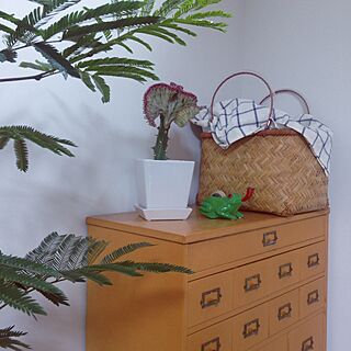 棚/エバーフレッシュ/フライングタイガー/植物/IKEA...などのインテリア実例 - 2016-05-27 12:13:11