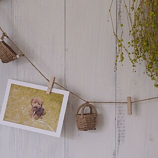 壁/天井/DIY/板壁/postcard/愛犬...などのインテリア実例 - 2013-07-25 20:26:43