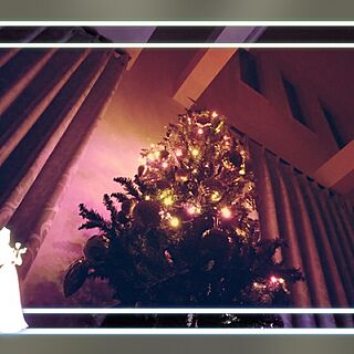 リビング/ふきぬけ/クリスマスツリー180cmのインテリア実例 - 2016-12-03 01:54:53